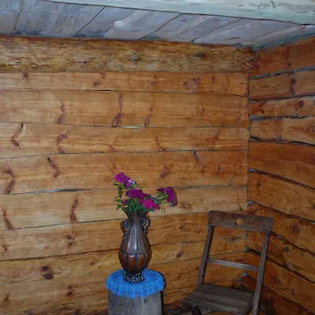 Hallikivi Tourist Farm